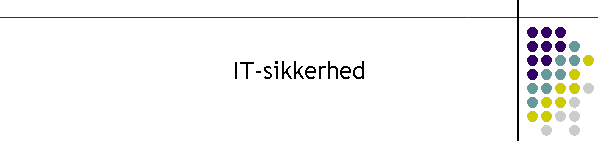 IT-sikkerhed
